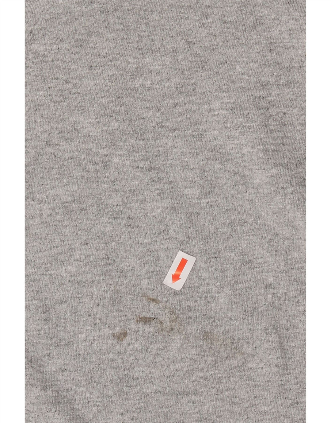 CHAMPION Mens Graphic Top Long Sleeve Large Grey Vintage Champion and Second-Hand Champion from Messina Hembry 