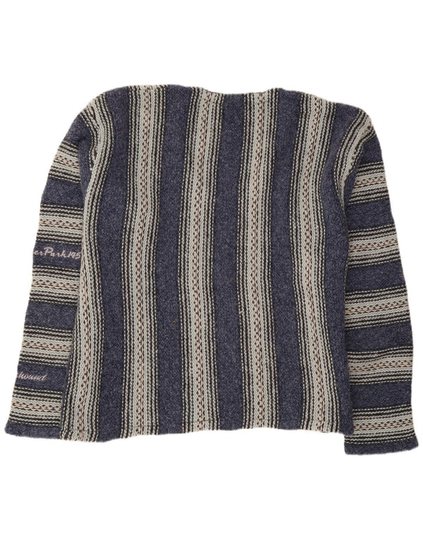 Maglione da uomo con scollo a V Foxhound, grande a righe blu navy