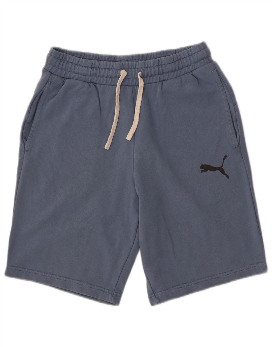 Puma Mens Sport Shorts Small Blue Cotton