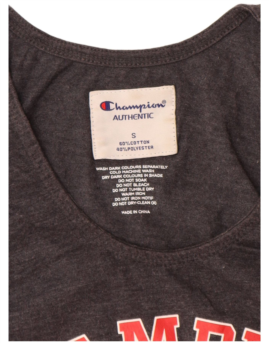 CHAMPION Mens Graphic Vest Top Small Grey Cotton