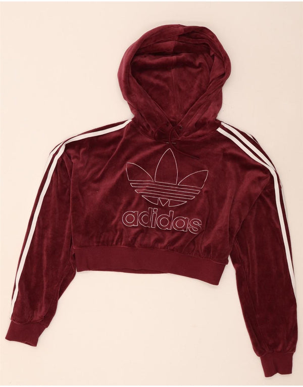 Adidas Damen Übergroßer Crop Velour Hoodie Pullover UK 8 Small Burgund