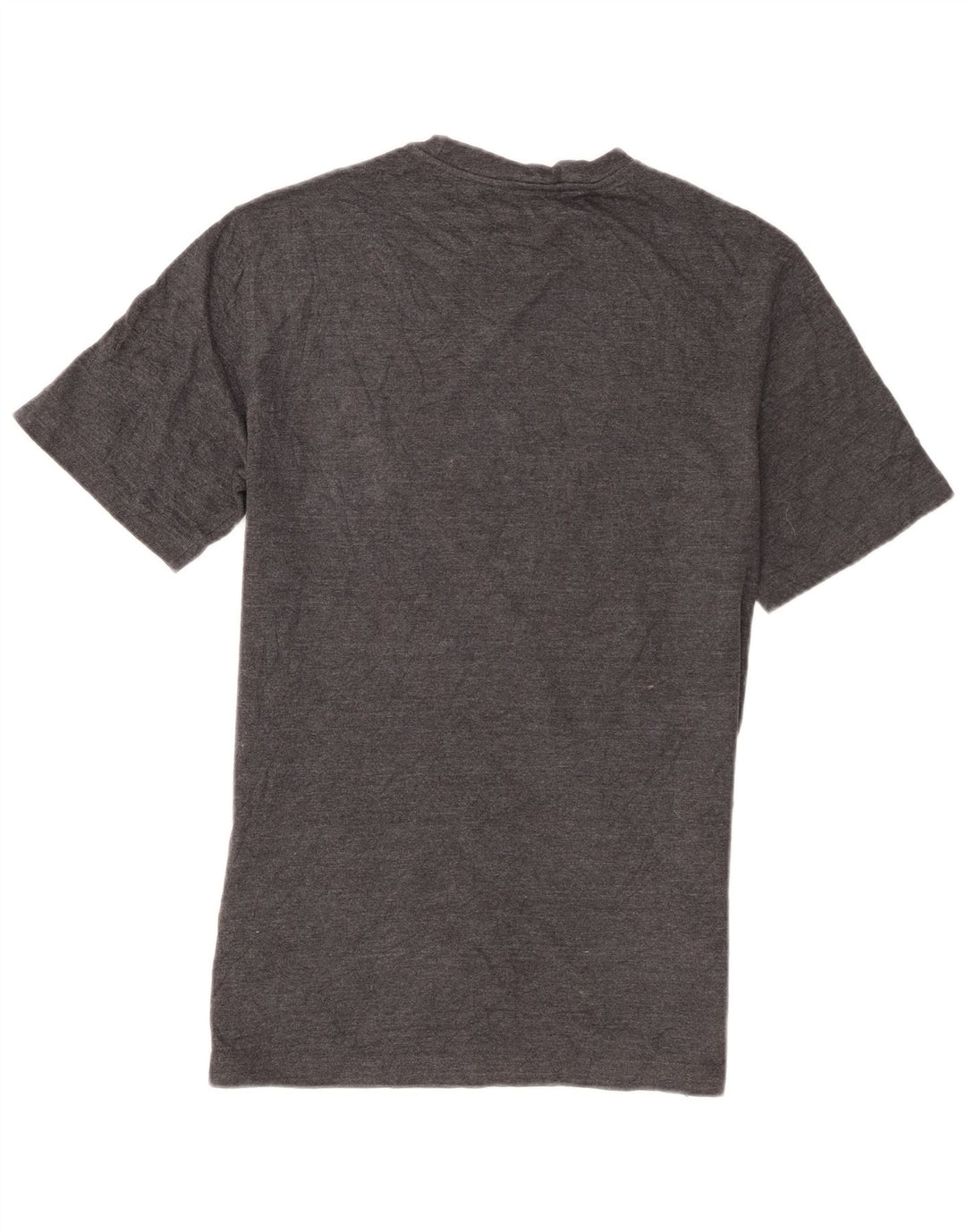 Champion Mens T-Shirt Top Small Grey