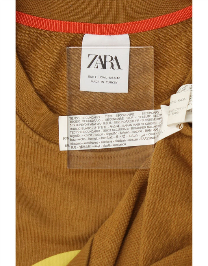ZARA Mens Graphic Sweatshirt Jumper Large Brown Cotton Vintage Zara and Second-Hand Zara from Messina Hembry 